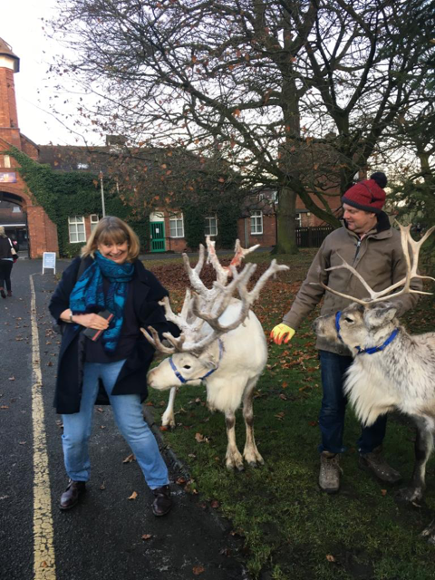 Having fun with the reindeer.